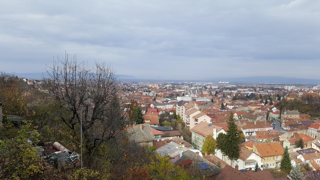 Grand View Apartment Brașov Exterior foto